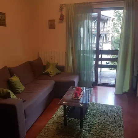 Apartment Apartament's Sinaia
